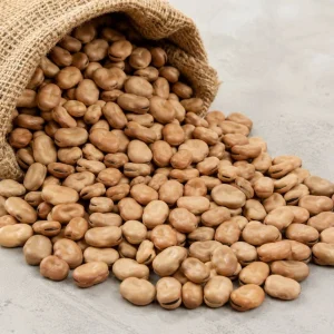 Egyptian fava beans for export