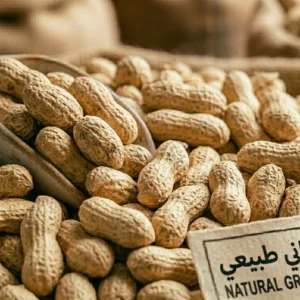 Shelled Peanuts