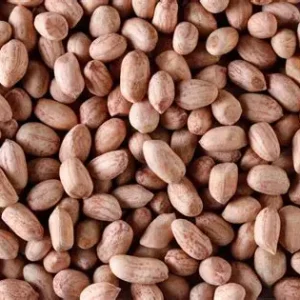 Shelled peanuts export from Egypt sourced from Egypt by QIRAT