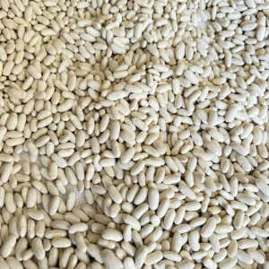 Egyptian white kidney beans for export by QIRAT Agricultural Exports.